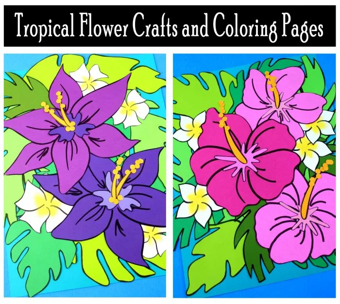 Tropical flower crafts and coloring pages