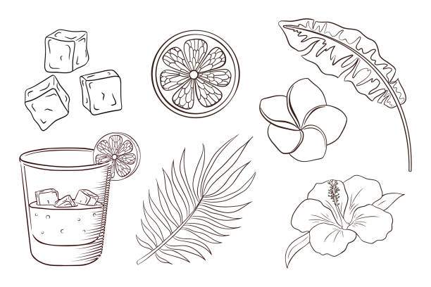 Whiskey and soda cocktail tropical flowers and leaves coloring page stock illustration