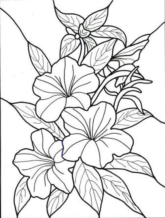 Tropical flowers printable flower coloring pages flower coloring sheets flower coloring pages