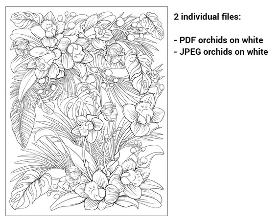 Pdf jpeg printable adult coloring page botanical printable coloring page tropical orchids hawaii summer flowers and leaves coloring