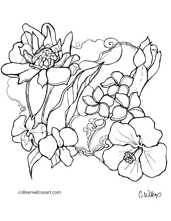 Coloring page tropical flowers colleen wilcox art