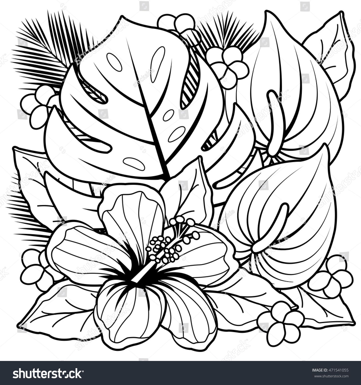 Tropical plants hibiscus flowers vector black stock vector royalty free shutterstock prtable flower colorg pages flower colorg sheets flower colorg pages