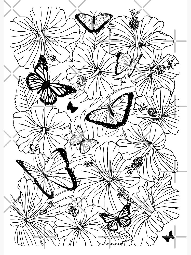 Butterflies and tropical flowers colouring page art board print for sale by hothibiscus