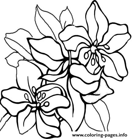 Tropical flower nature coloring page printable