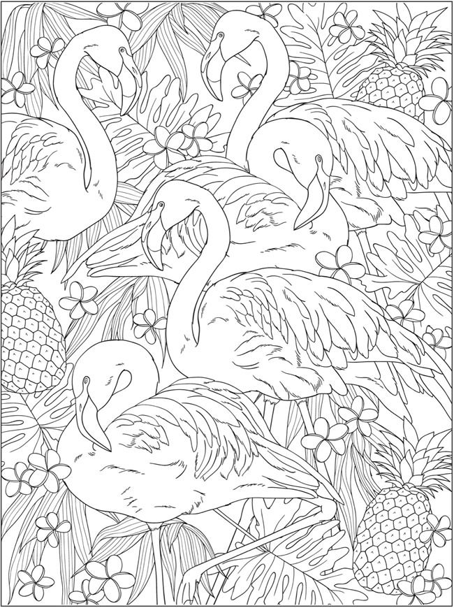 Httpwwwdoverpublicationszbsamplessampleahtml bird coloring pages flamingo coloring page mandala coloring pages