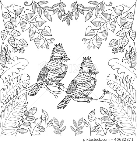 Tropical birds for adult coloring book page