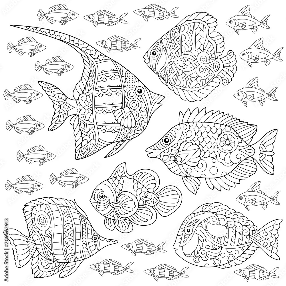 Collection of tropical fishes coloring page colouring picture adult coloring book idea vector