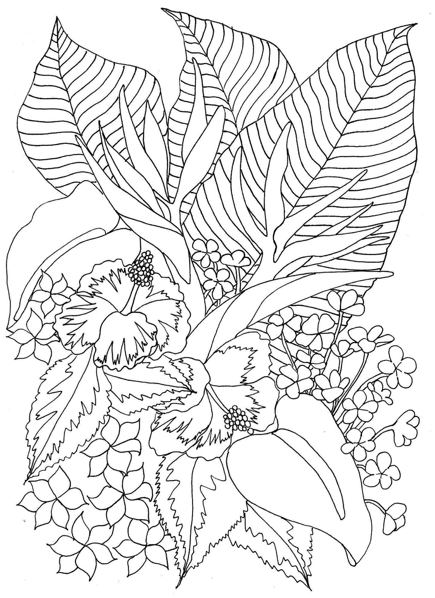 Coloring pages