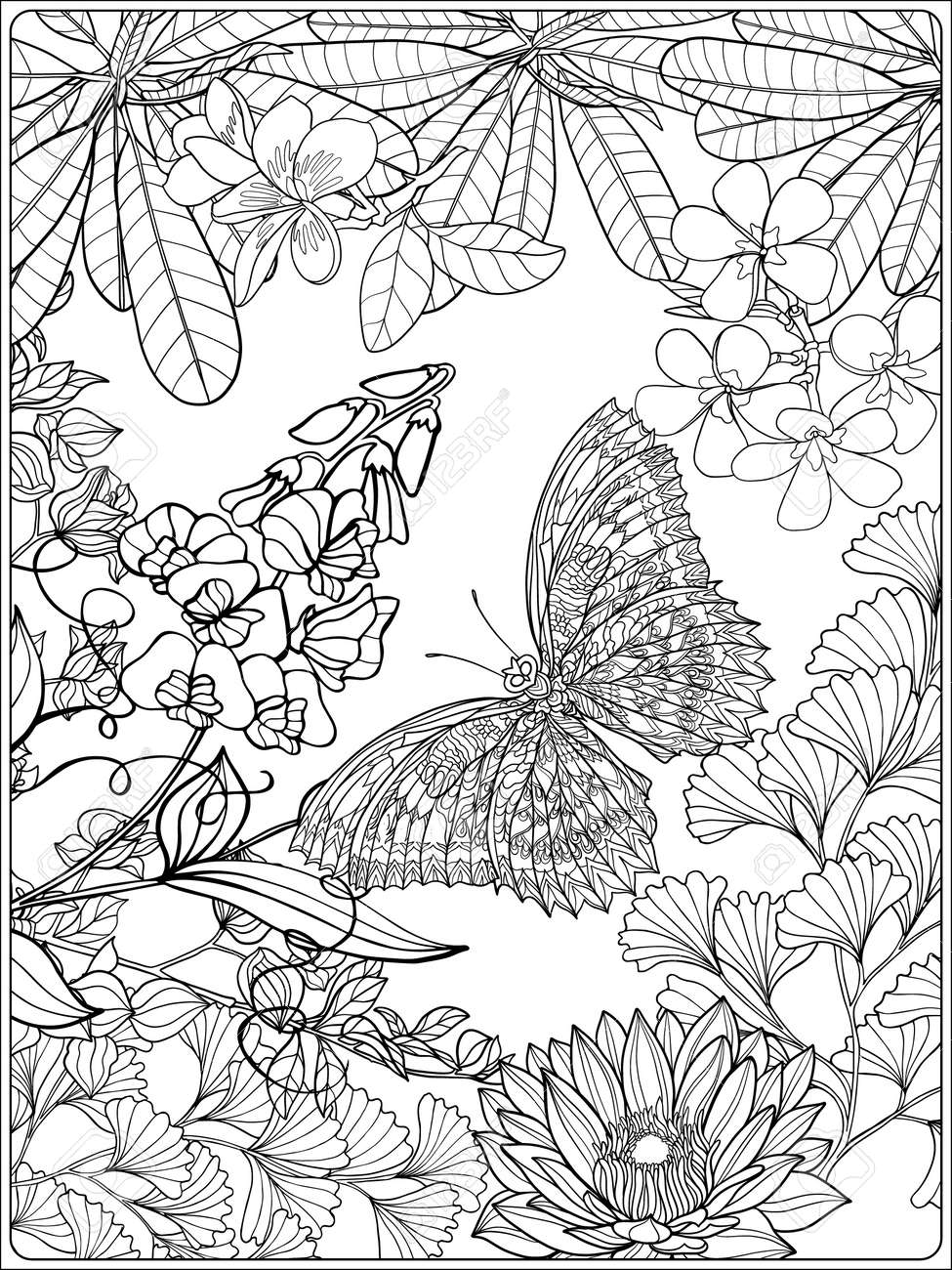 Tropical wild birds and plants tropical garden collection coloring page coloring book for adult and older children outline vector illustration royalty free svg cliparts vectors and stock illustration image