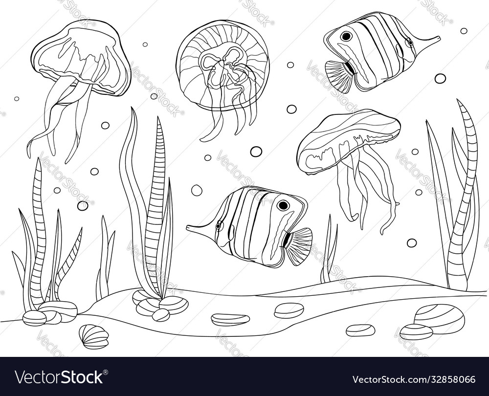 Coloring pages for kids and adults tropical fish vector image