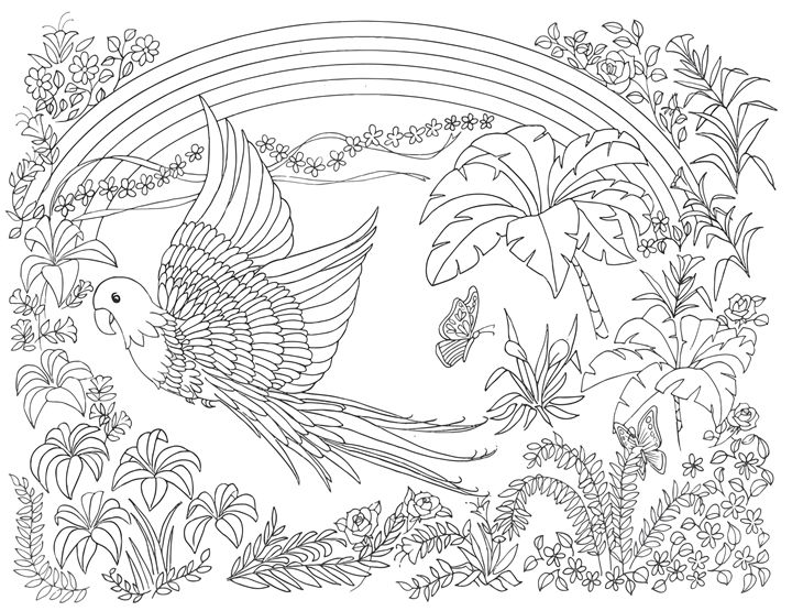 Tropical parrot ready to color