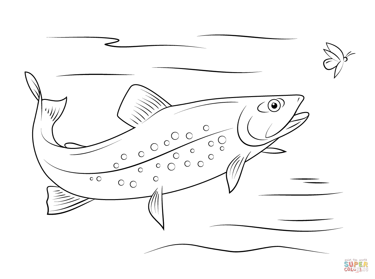 Brook trout coloring page free printable coloring pages