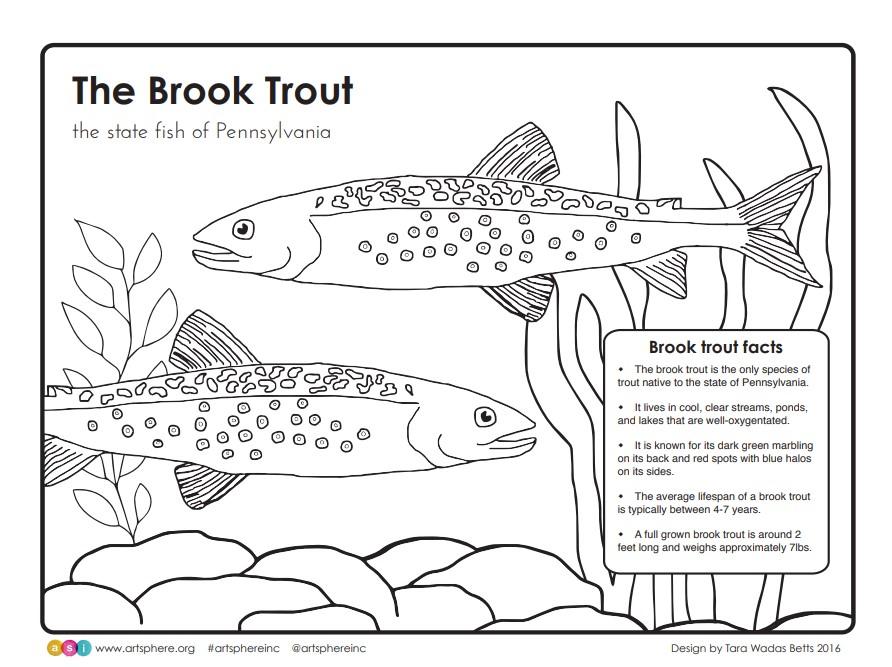 The brook trout art sphere inc