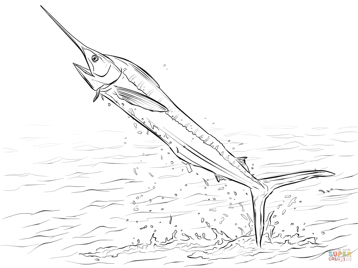 White marlin jumping out of water coloring page free printable coloring pages