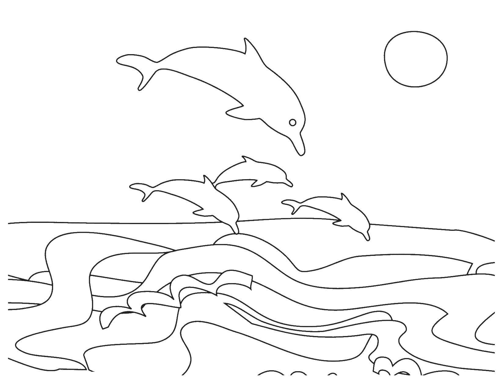 Online coloring pages coloring page dolphins jump out of the water fish download print coloring page