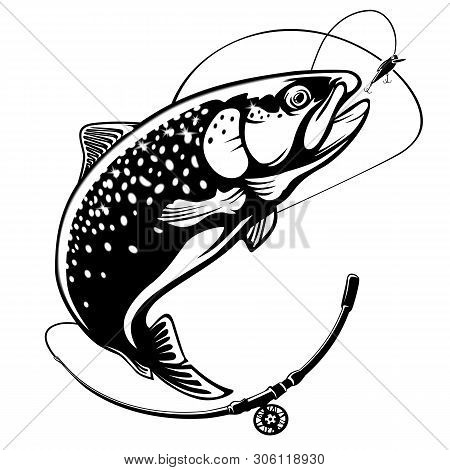 Rainbow trout jumping vector photo free trial bigstock