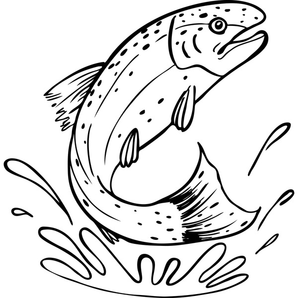 Brook trout line drawing royalty