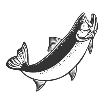 Jumping fish drawing images â browse photos vectors and video