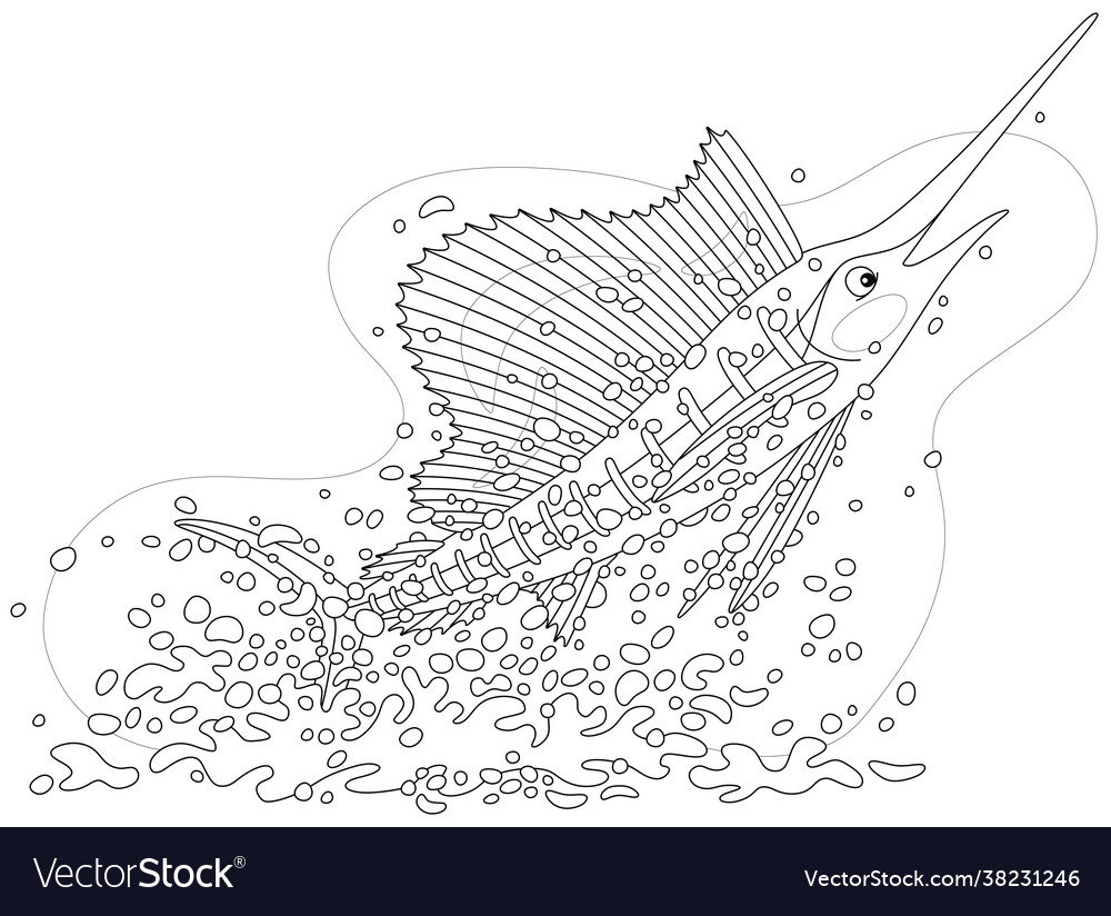 Large swordfish jumping out water royalty free vector image