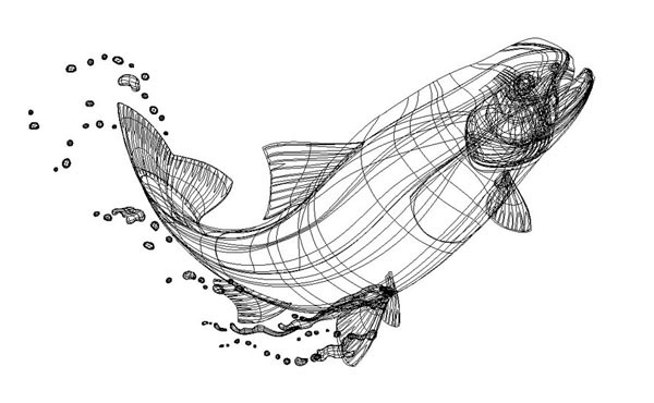 Drawing of a jumping trout