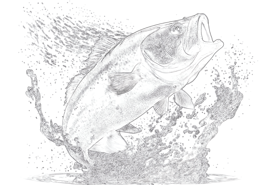 Big fish with splashes coloring page