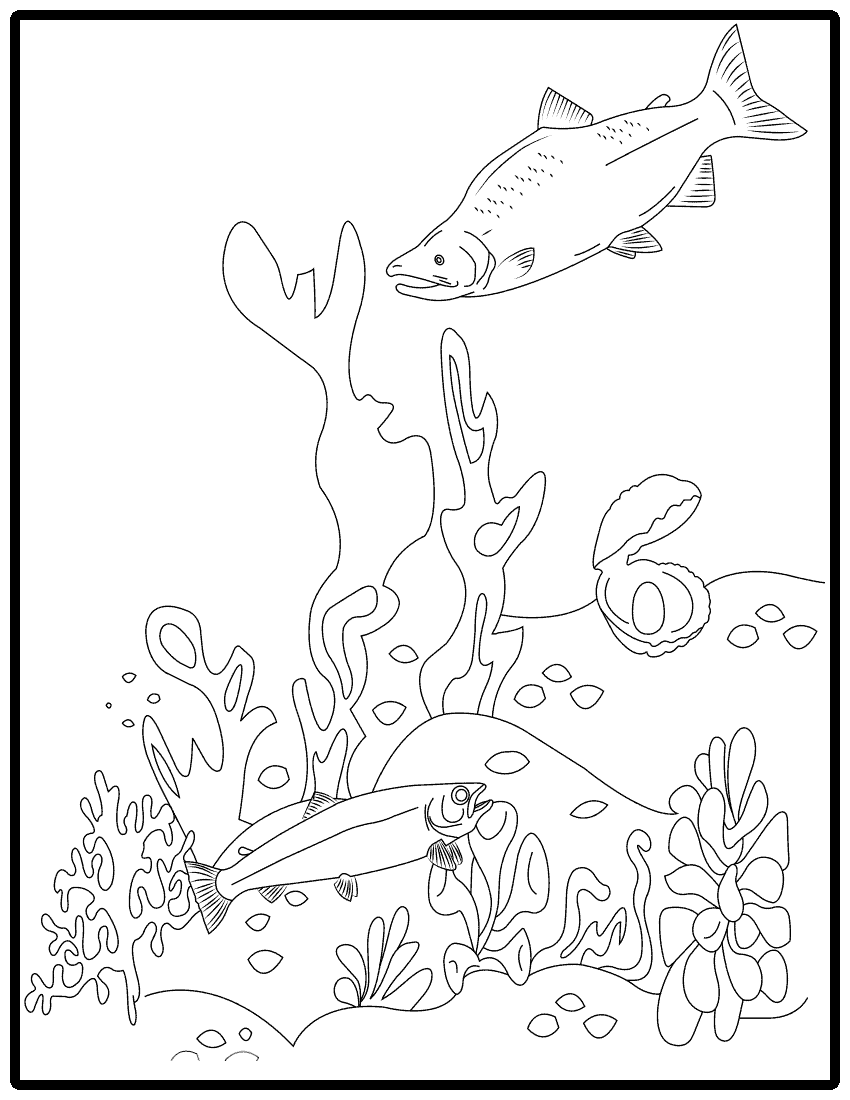 Fish coloring pages download or print pdf