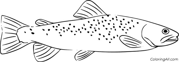 Free printable trout coloring pages in vector format easy to print from any device and automatically fit â fish coloring page coloring pages steelhead trout