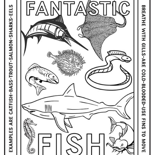 Vertebrates and invertebrates coloring pages made by teachers