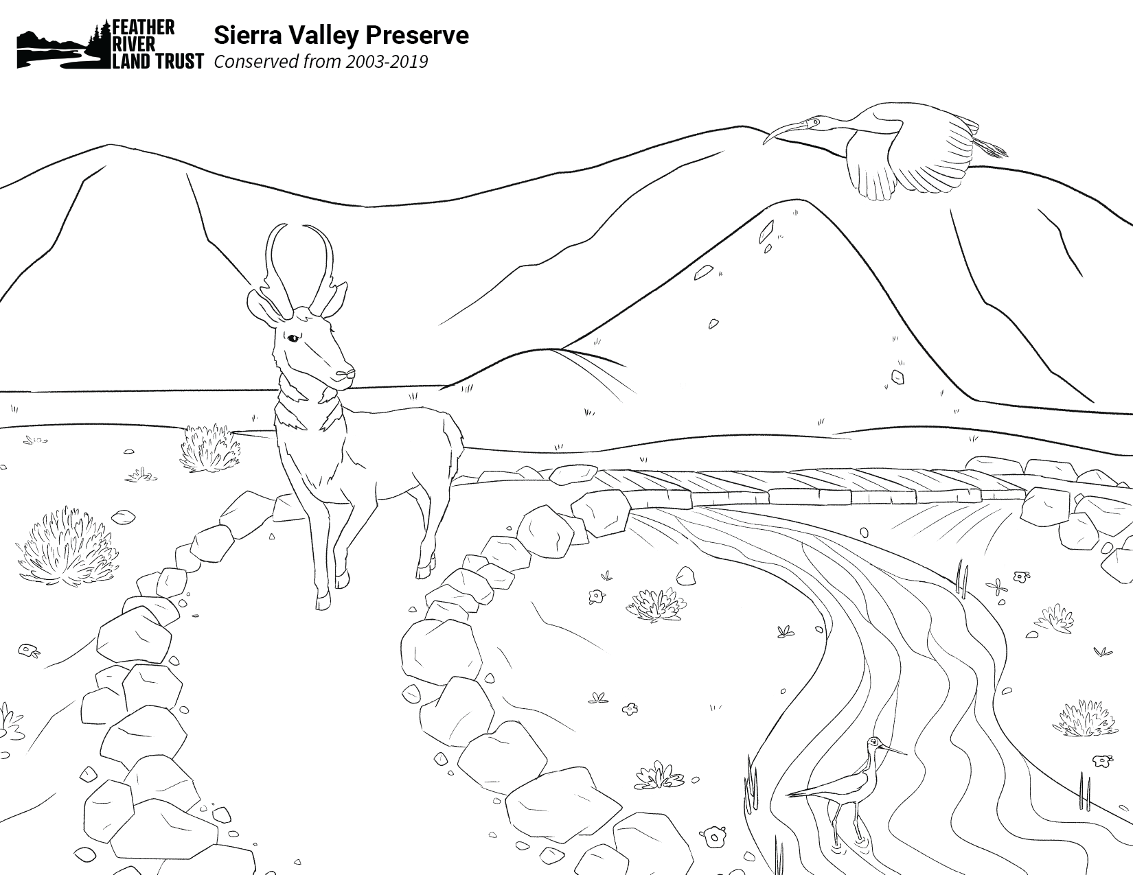 Preserve coloring pages