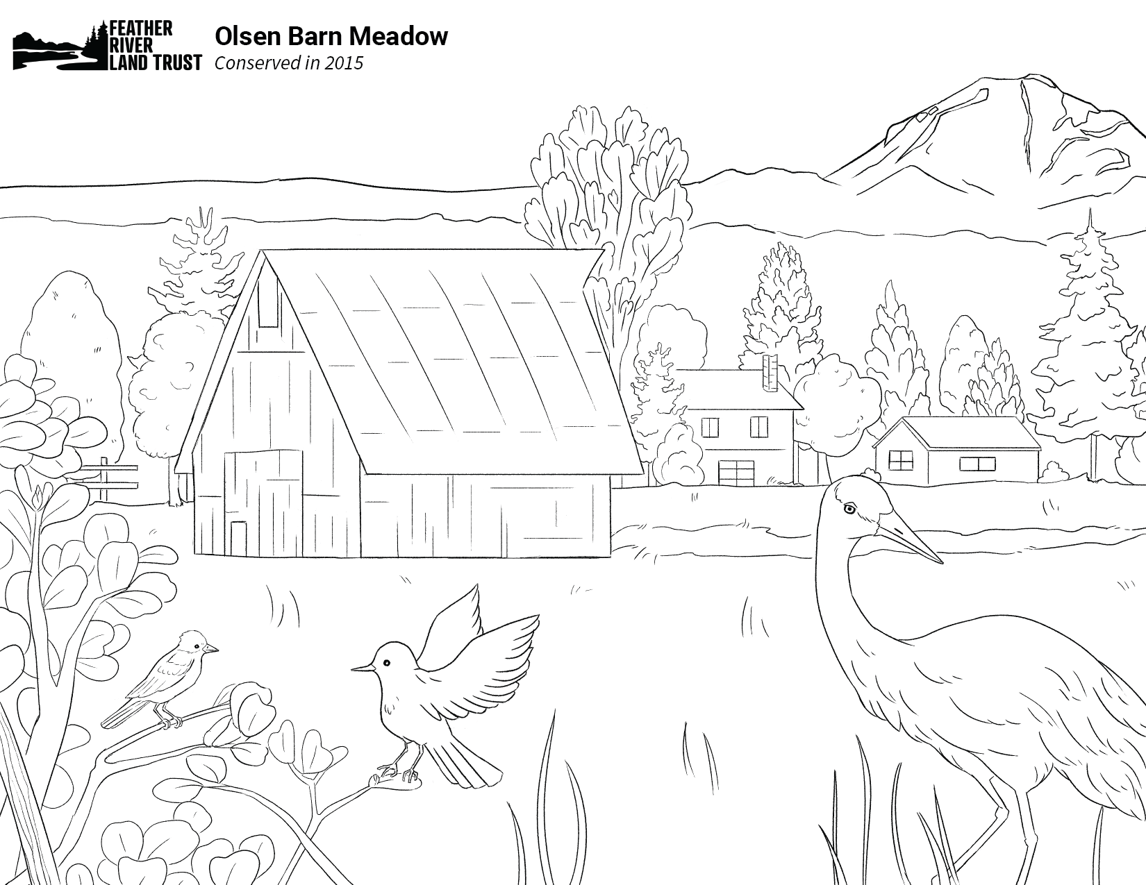 Preserve coloring pages