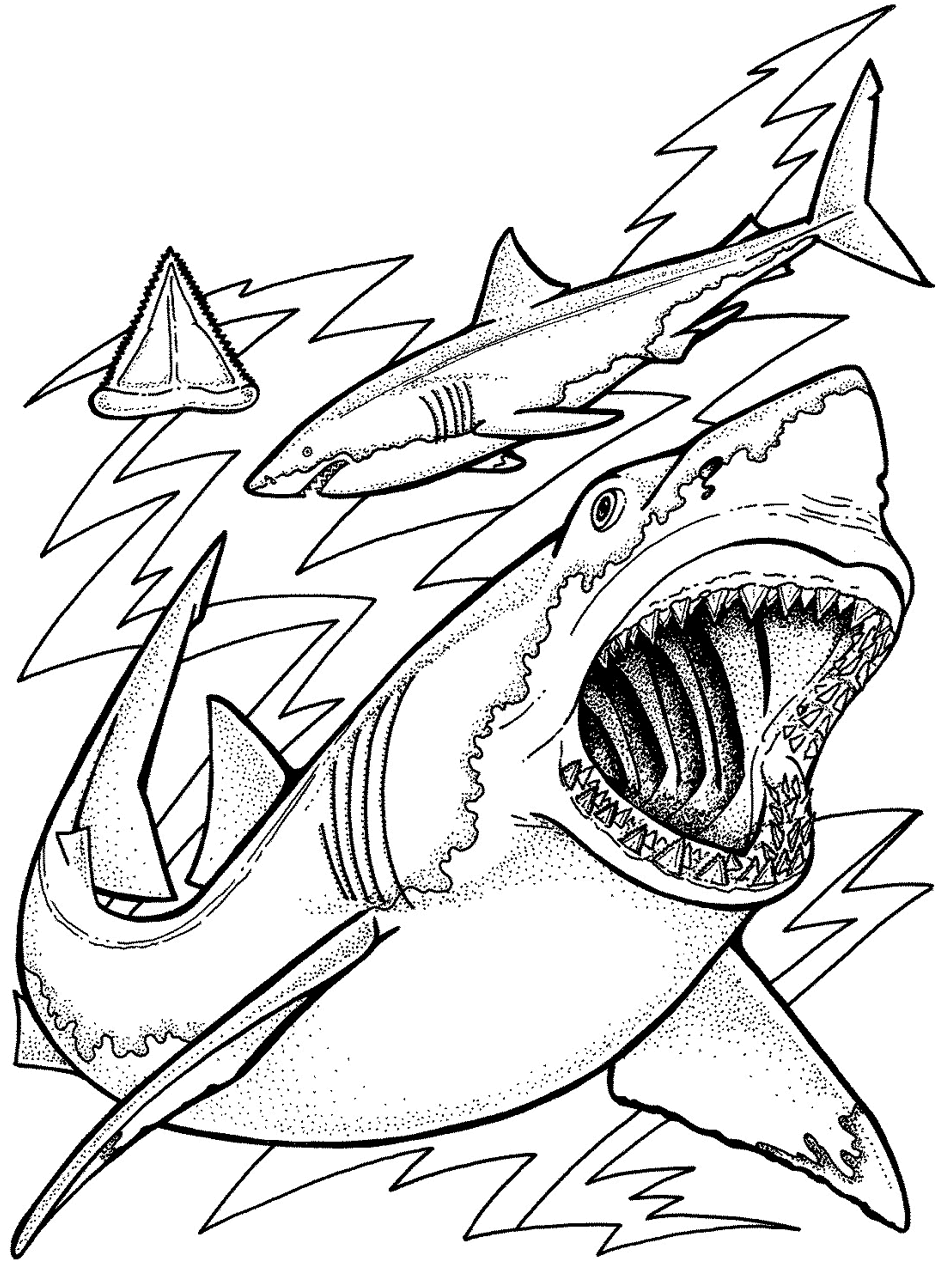 Free printable ocean coloring pages for kids