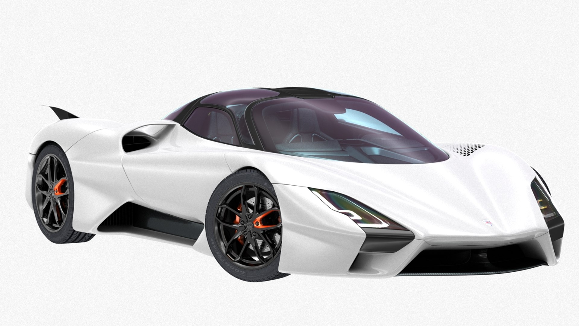 D ssc tuatara