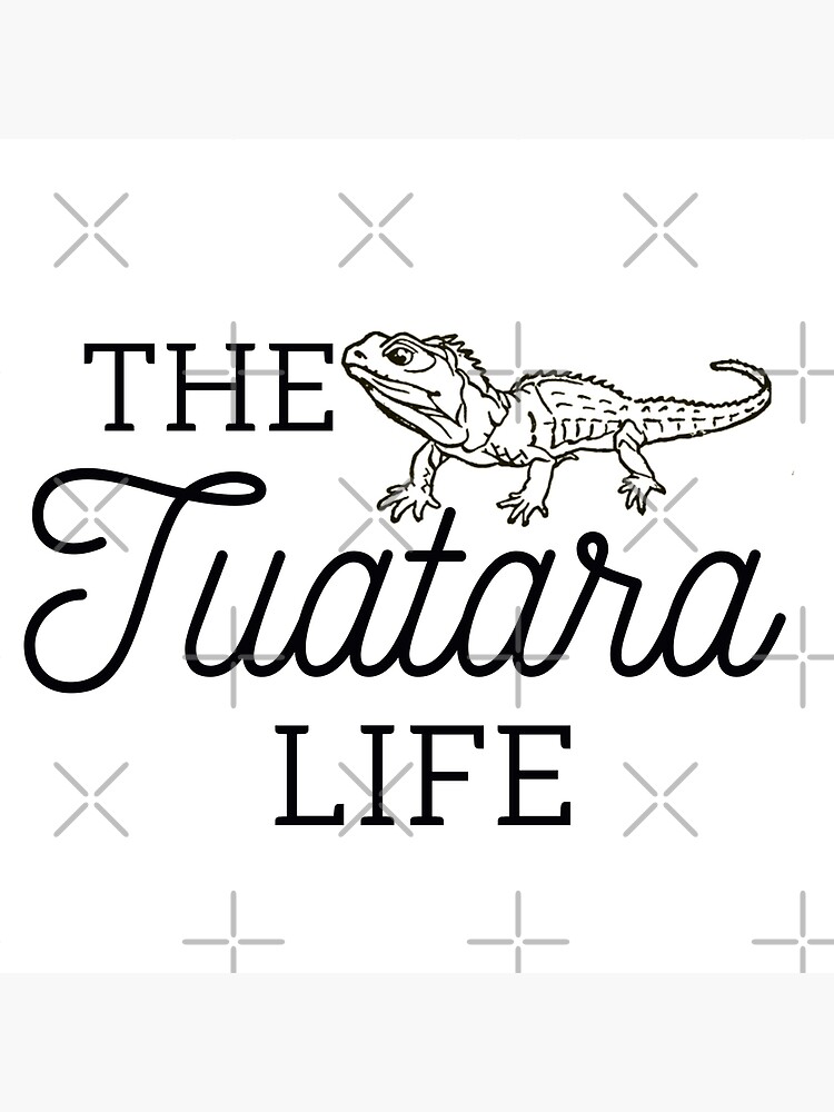 The tuatara life