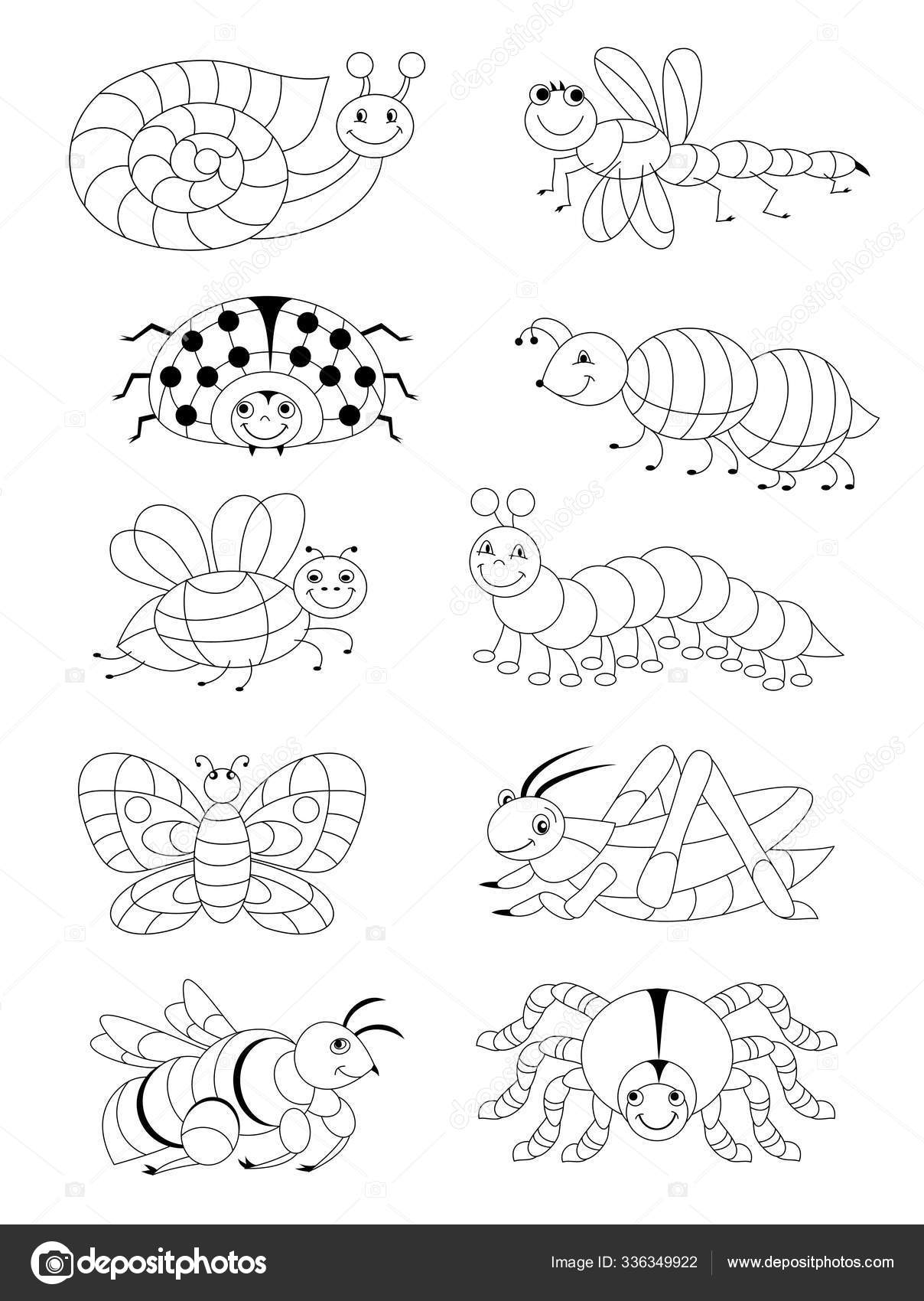 Black white page baby coloring book set different cute insects stock vector by nataljacernecka