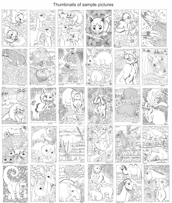 Animals to colour in different pages to download and print