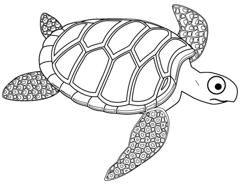 Cartoon turtle coloring page free printable coloring pages