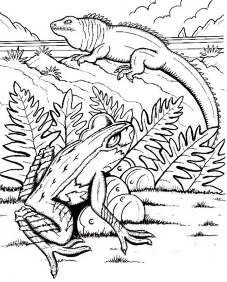 Coloring pages tuatara printable for kids adults free