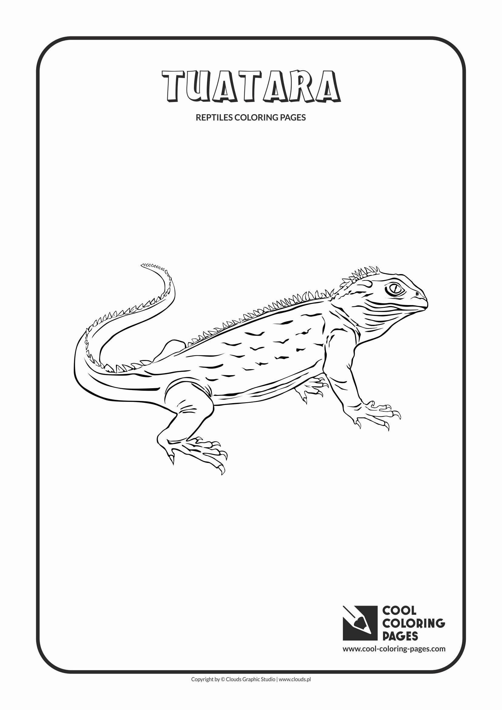 Cool coloring pages tuatara coloring page
