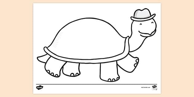 Tortoise louring page teacher made