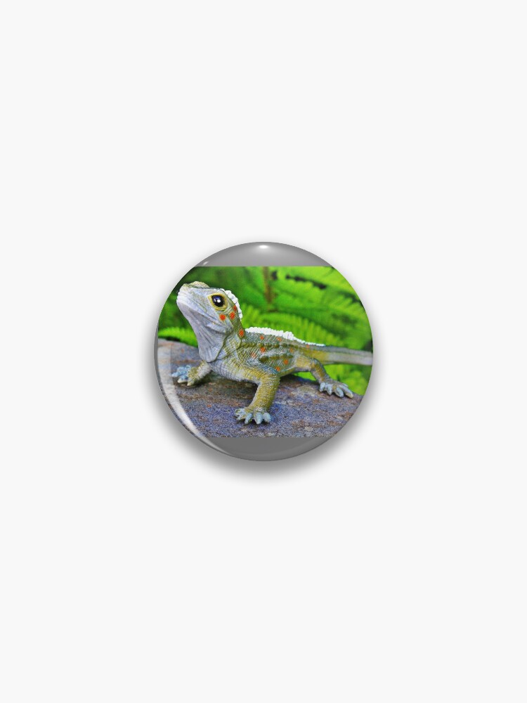Plastic tuatara toy pin for sale by phil le cren