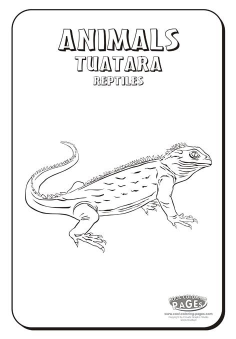 Tuatara coloring page tuatara coloring pages cool coloring pages