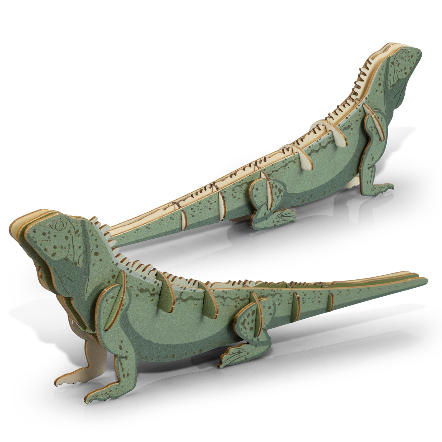 Brandcraft tuatara wooden model