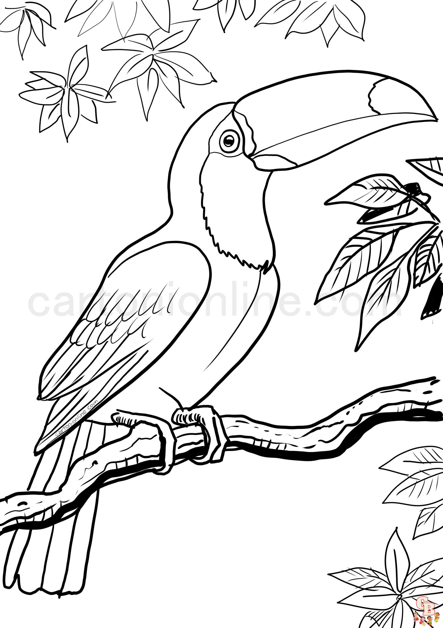 Toucan coloring pages