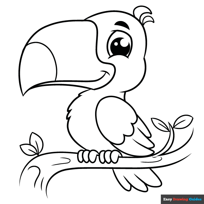 Toucan coloring page easy drawing guides