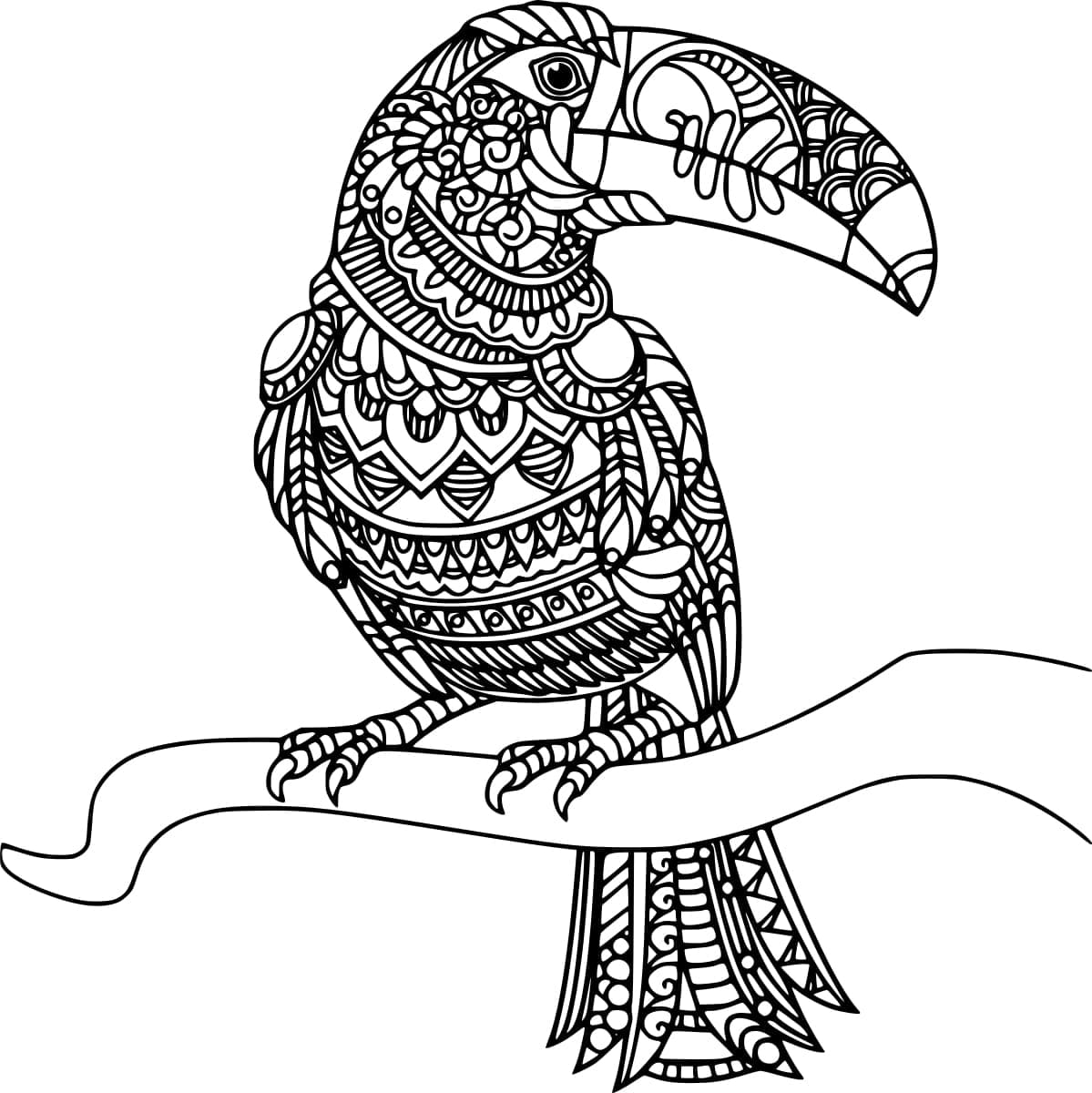 Zentangle toucan bird coloring page