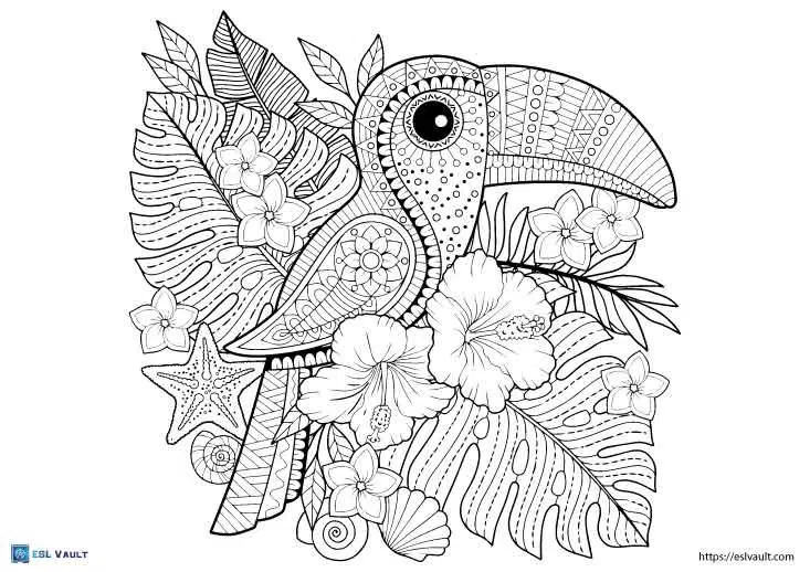 Free printable toucan coloring pages