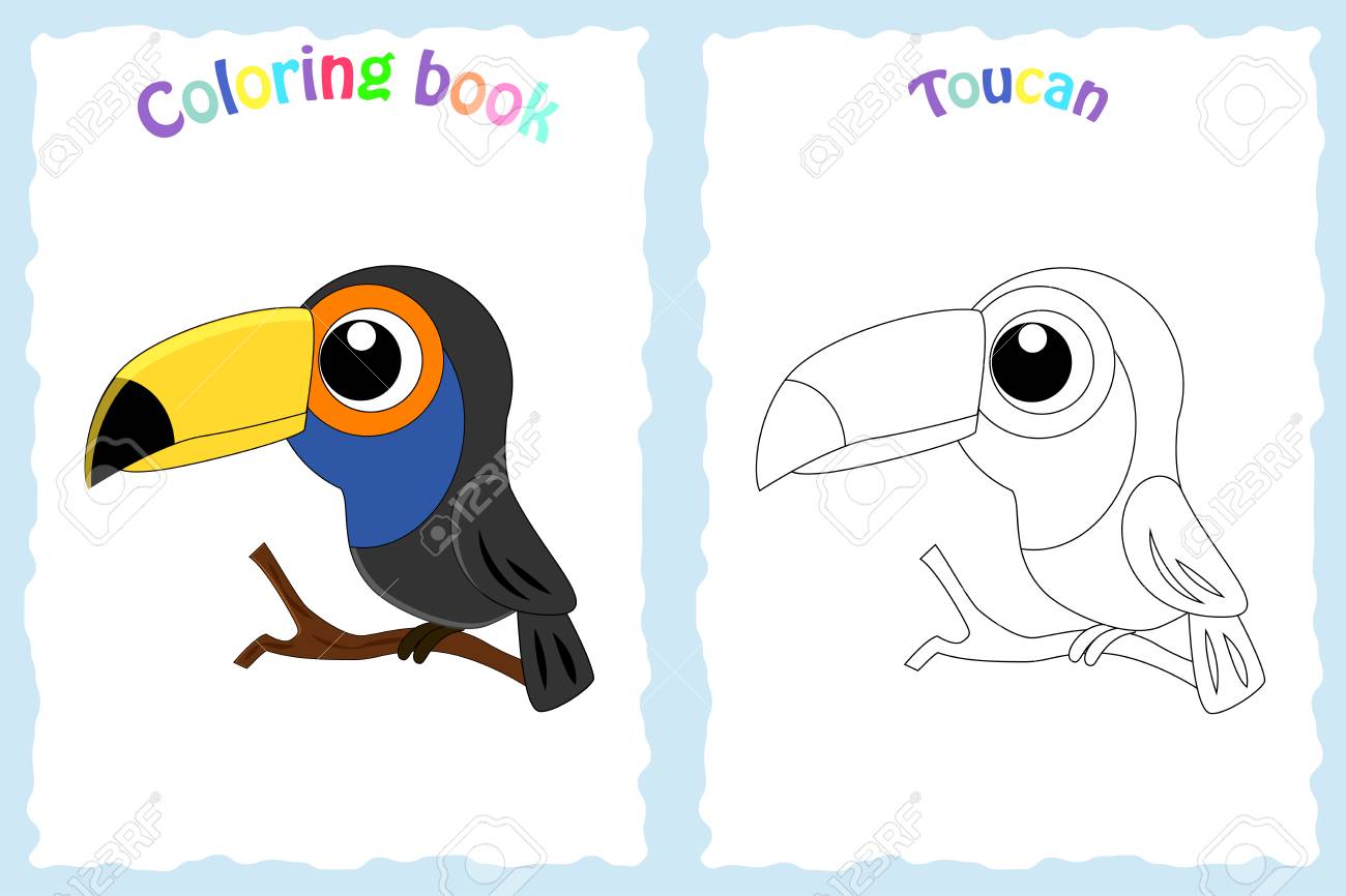 Coloring book page for children with colorful toucan and sketch to color royalty free svg cliparts vectors and stock illustration image