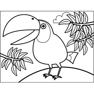 Squawking toucan coloring page