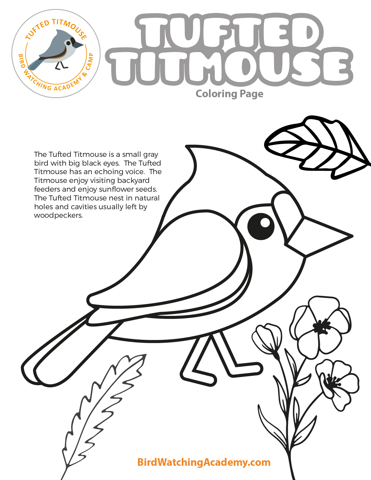 Tufted titmouse coloring page