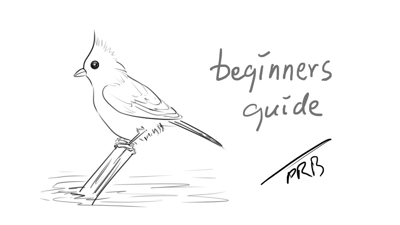 How to draw a tufted titmousesketchingdrawingoutline drawingpencil drawingeasy drawingsketches